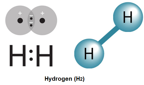 Phân tử khí hydro